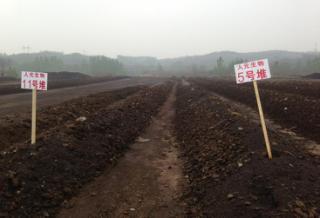 微生物肥料 綠色農(nóng)業(yè)的新引擎，生物質(zhì)能技術(shù)服務(wù)的市場價(jià)值