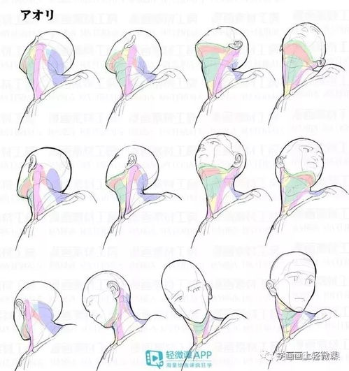 不會(huì)畫頭像？這100張高清素材趕緊收藏，平面設(shè)計(jì)必備！